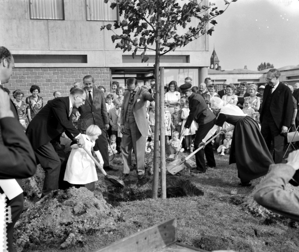 Opening Burgerweeshuis in Amsterdam. Burgemeester van Hall steunt de boom, Bestanddeelnr 912-9574