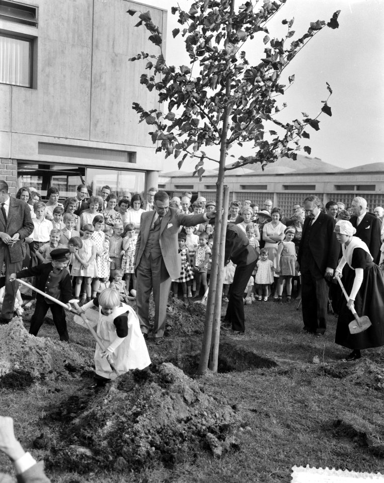 Opening Burgerweeshuis in Amsterdam. Burgemeester van Hall steunt de boom, Bestanddeelnr 912-9572