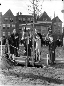 Opening boomplantdag, Bestanddeelnr 902-4373