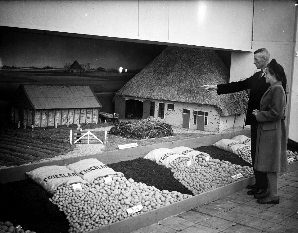Opening Friese tentoonstelling. Een diorama, Bestanddeelnr 934-5141