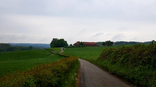 Partij-Hoeve Hommerich (1)