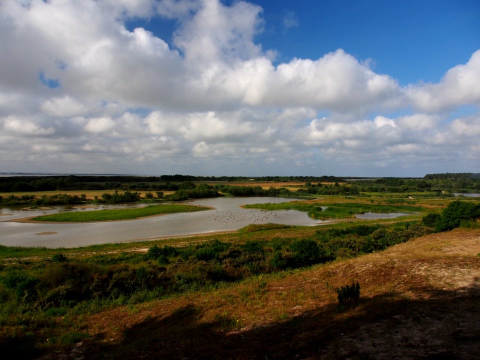 Parc du Marquenterre pic-001