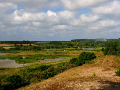 Parc du Marquenterre pic-003