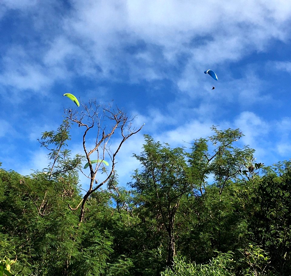 Parapentes au-dessus du Ouen Toro