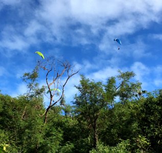 Parapentes au-dessus du Ouen Toro