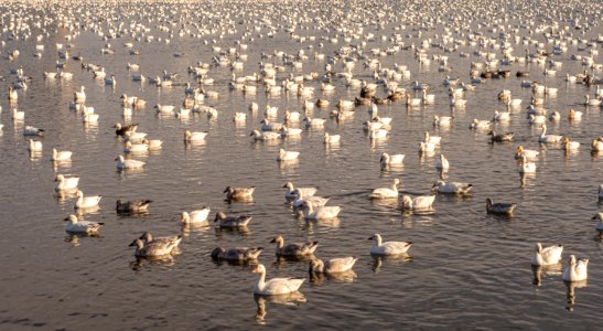 Parc du réservoir Beaudet 3