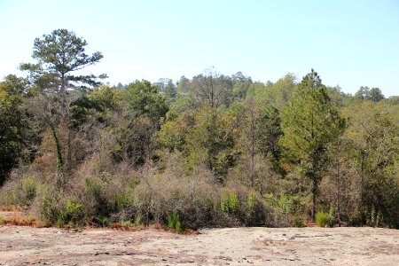 Panola Mountain viewed from viewing platform, Sept 2017