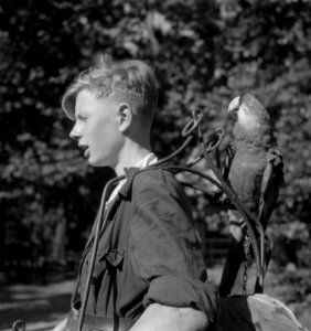 Papagaai-dragers in Artis, Bestanddeelnr 904-6783