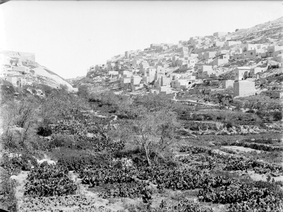 Panorama, dorpen, bergen, Jordanië, Bestanddeelnr 254-6115