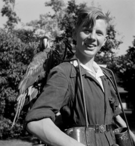 Papagaai-dragers in Artis, Bestanddeelnr 904-6781
