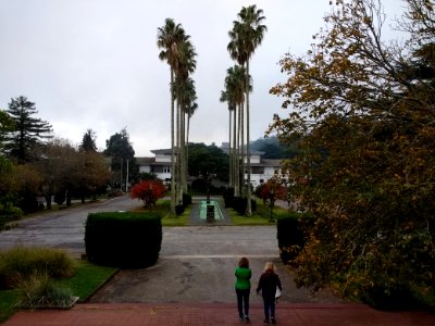 Parque de Vacaciones UTE ANTEL 1