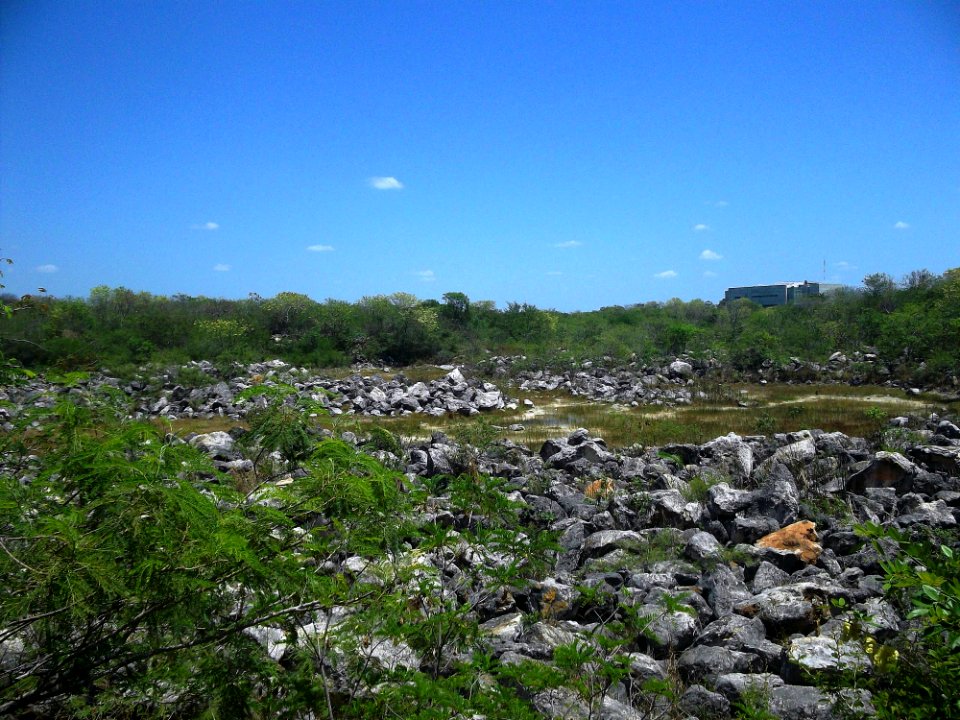 Parque Arqueológico del Poniente, Mérida, Yucatán (11)