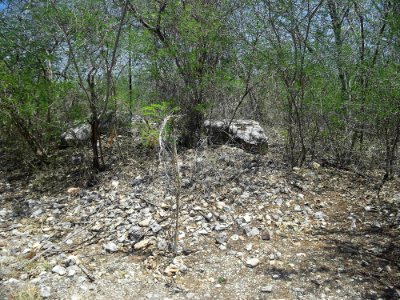 Parque Arqueológico del Poniente, Mérida, Yucatán (10)