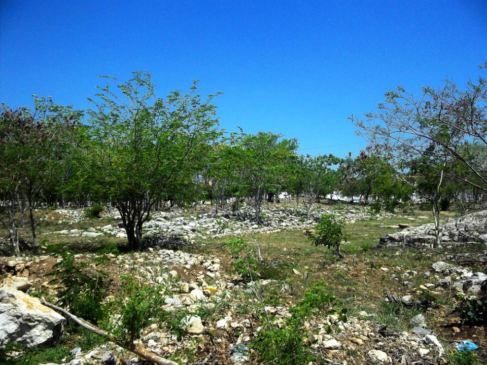 Parque Arqueológico Xanilá, Mérida, Yucatán (03)