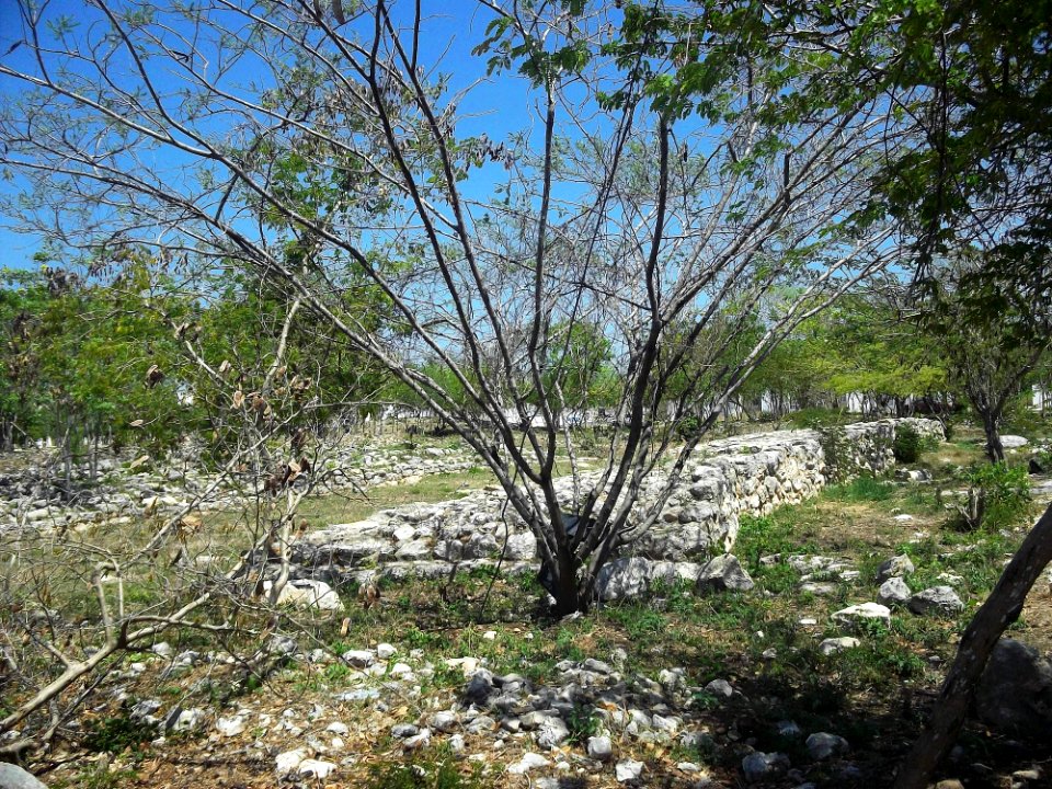 Parque Arqueológico Xanilá, Mérida, Yucatán (04)