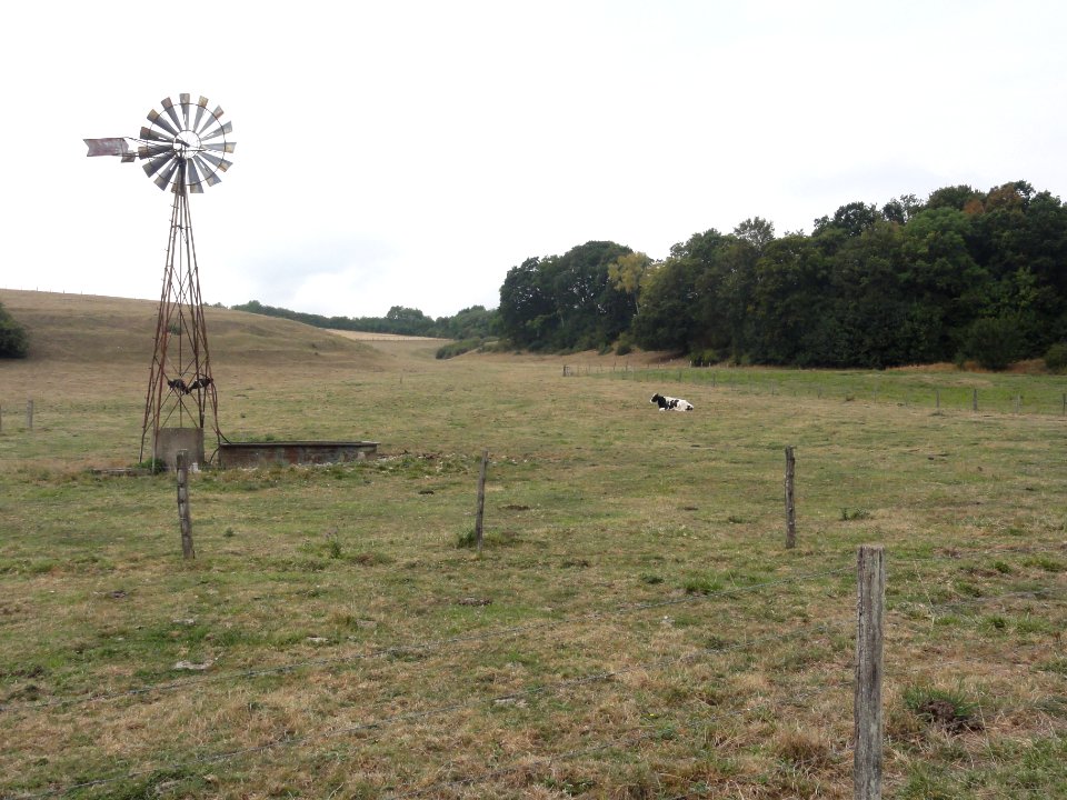 Parois (Clermont-en-Argonne, Meuse) éolienne (02)