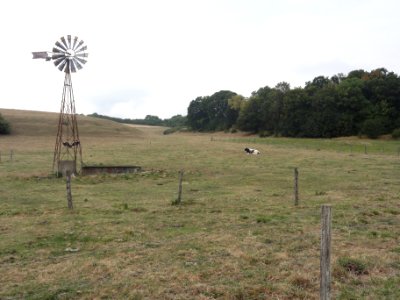 Parois (Clermont-en-Argonne, Meuse) éolienne (02)