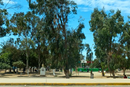Parque Central Lazaro Cardenas (con estatua de Benito Juarez)