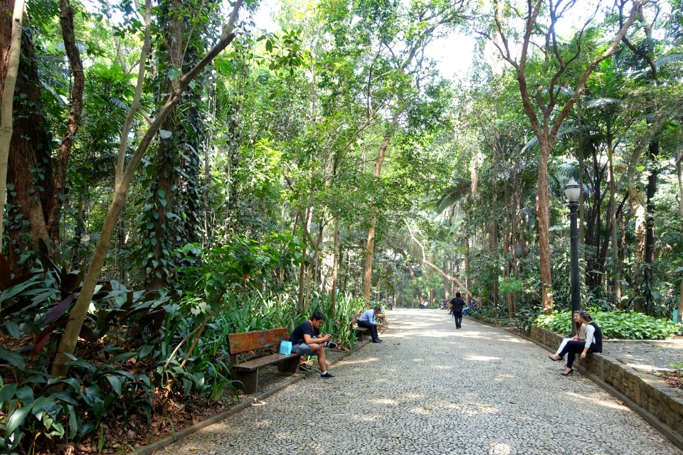 Parque Trianon - São Paulo, Brazil - DSC07127