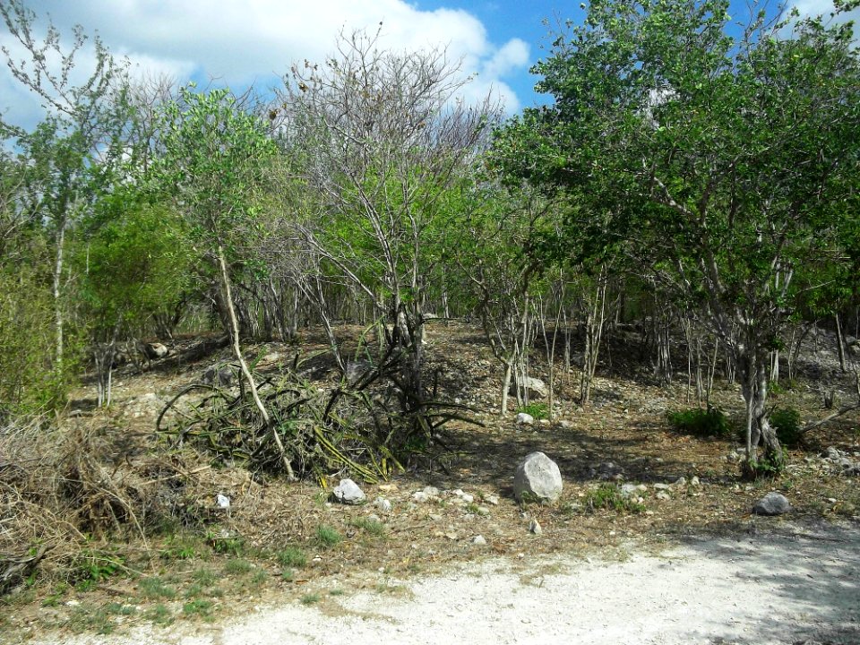 Parque Arqueológico Anikabil, Mérida, Yucatán (07)