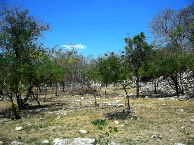 Parque Arqueológico del Poniente, Mérida, Yucatán (05)
