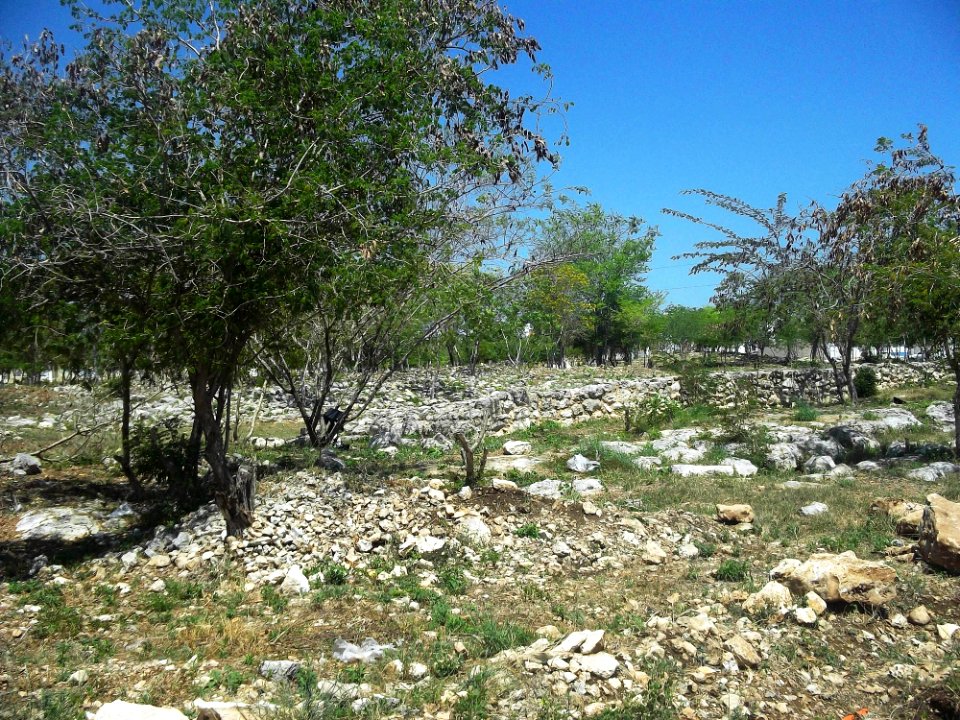 Parque Arqueológico Xanilá, Mérida, Yucatán (02)