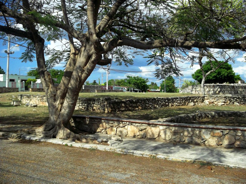 Parque Arqueológico de la Colonia Salvador Alvarado Oriente, Mérida, Yucatán (03)