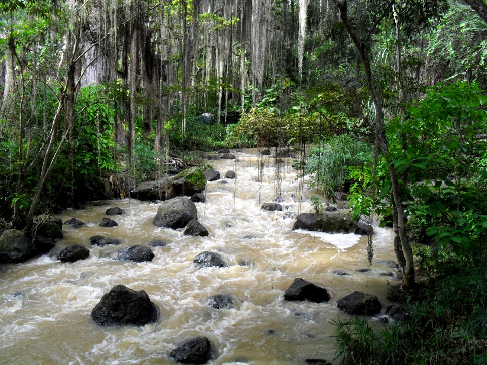 Parque Gallineral
