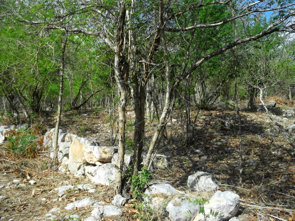 Parque Arqueológico Anikabil, Mérida, Yucatán (02)