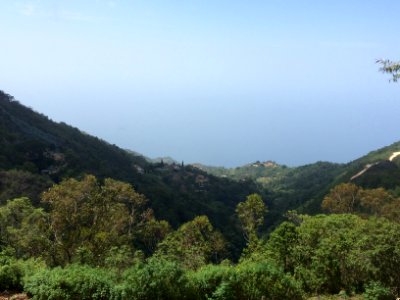 Parque Nacional El Avila (Warairarepano) National Park, Caracas y Vargas Venezuela 4