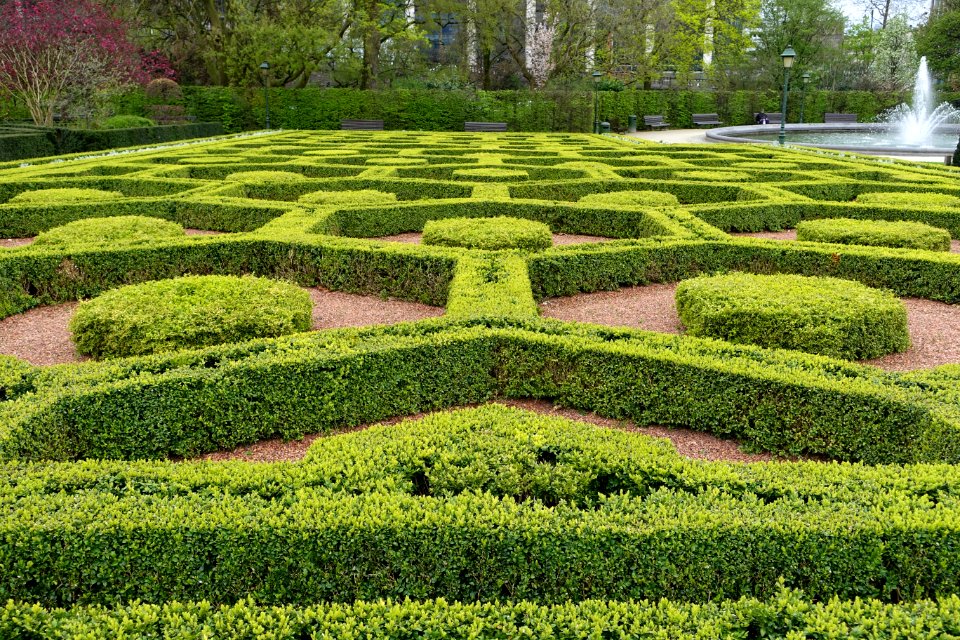 Parterre - Botanical Garden of Brussels - Brussels, Belgium - DSC06786