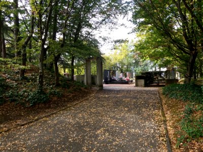 Parc cimetière du Grand Lyon - Site 5