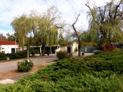 Parc cimetière du Grand Lyon - Entrée