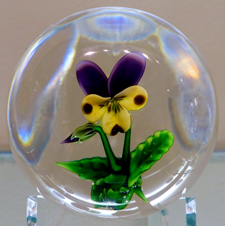 Paperweight by Cristallerie de Clichy, France, c. 1850, glass - Currier Museum of Art - Manchester, NH - DSC07846