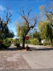 Parc cimetière du Grand Lyon - Sortie