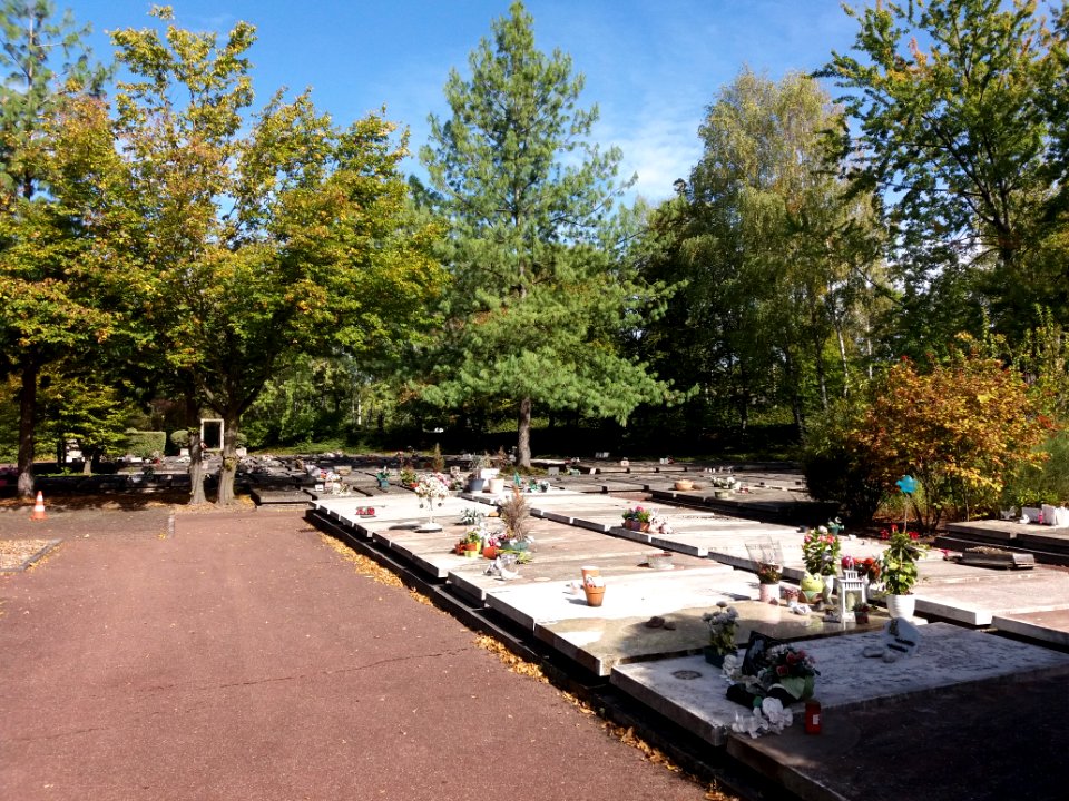 Parc cimetière du Grand Lyon - Tombes sans concession 3