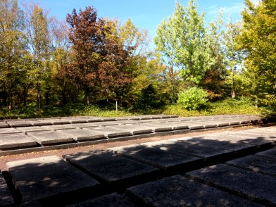 Parc cimetière du Grand Lyon - Tombes sans concession 5