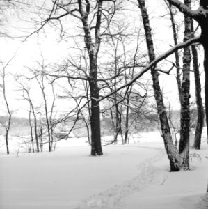 Park Zijpendaal in de winter, Bestanddeelnr 162-1281