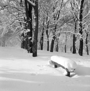 Park Zijpendaal in de winter, Bestanddeelnr 162-1290