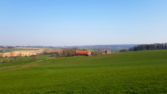 Partij-Hoeve Hommerich (5)