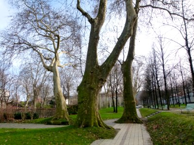 Parc de Bercy en hiver