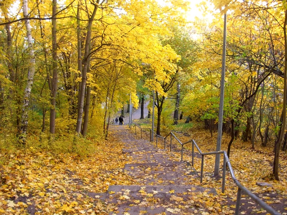Park Wzgórze Wolności jesień 2010a