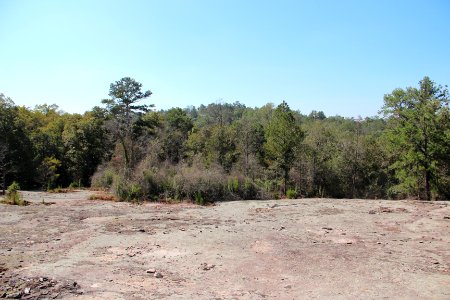 Panola Mountain viewed from viewing platform, Sept 2017 2