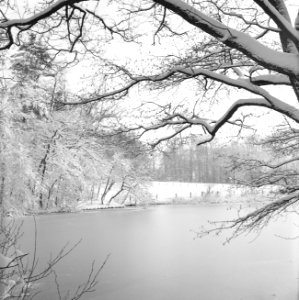 Park Zijpendaal in de winter, Bestanddeelnr 162-1285