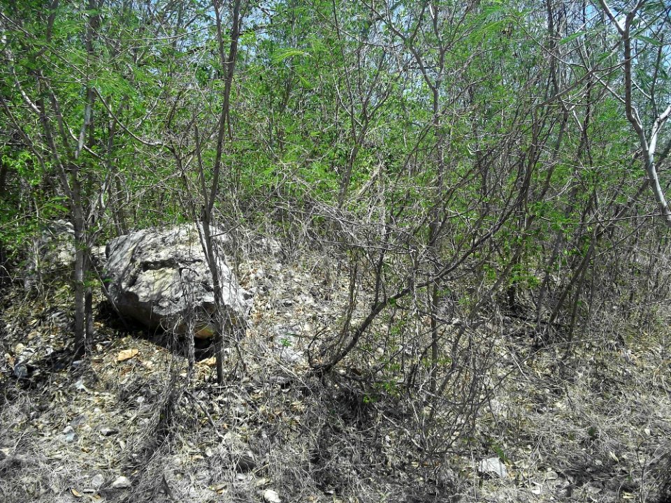 Parque Arqueológico del Poniente, Mérida, Yucatán (09)