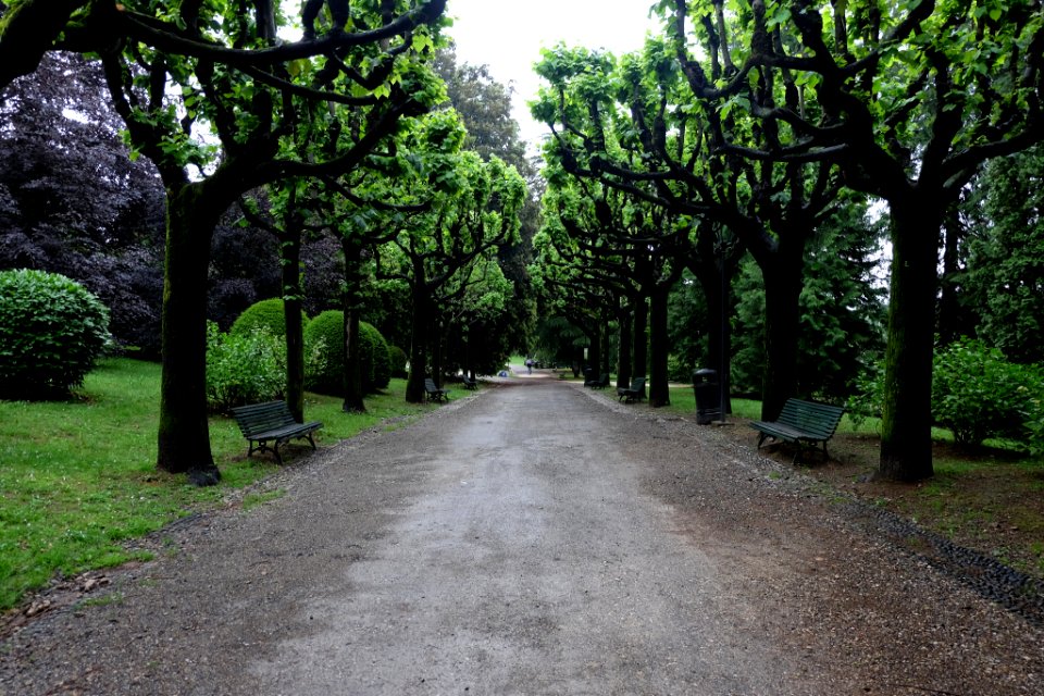 Park Toeplitz (227931499)