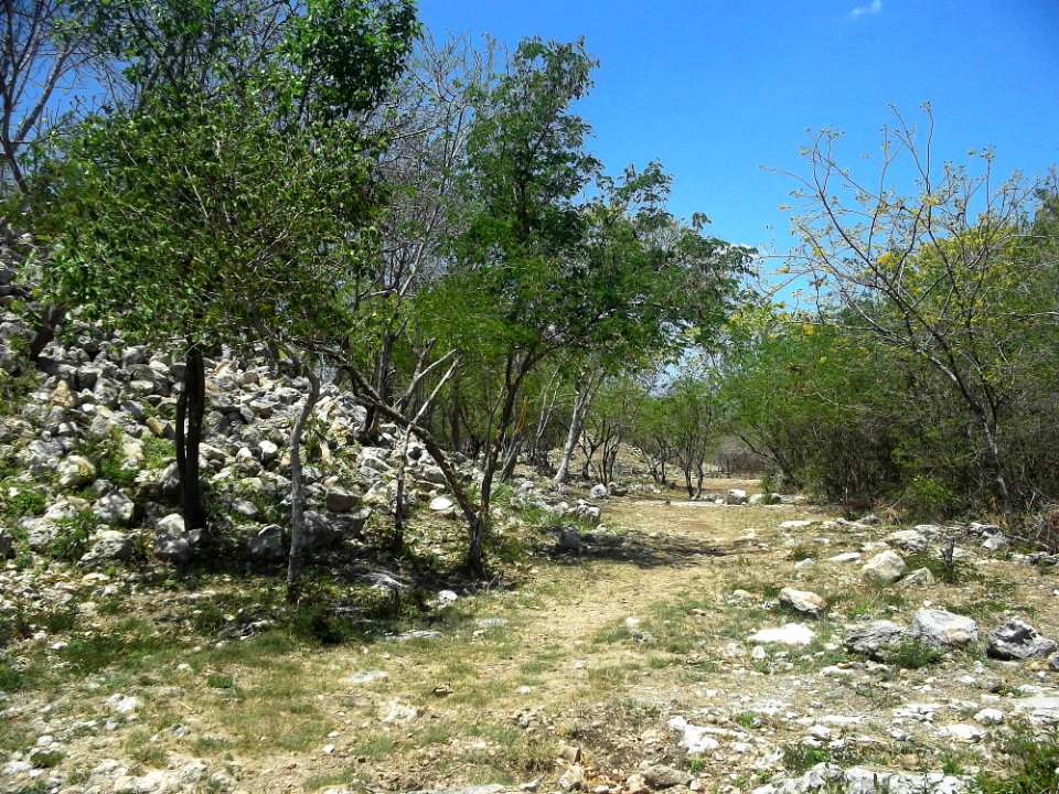 Parque Arqueológico del Poniente, Mérida, Yucatán (08)