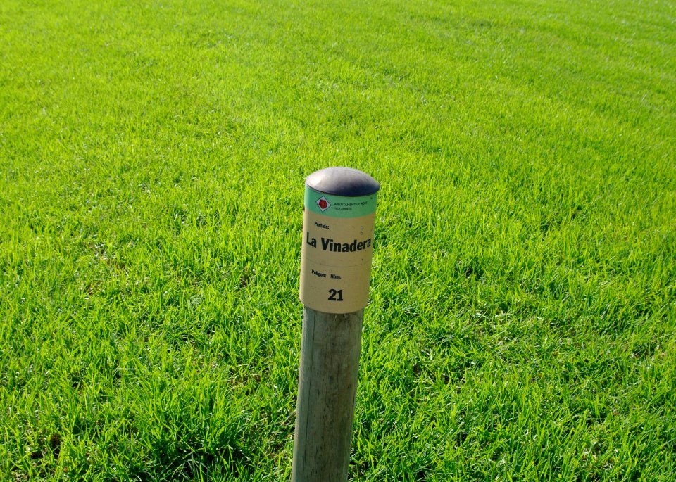 Partida de la Vinadera