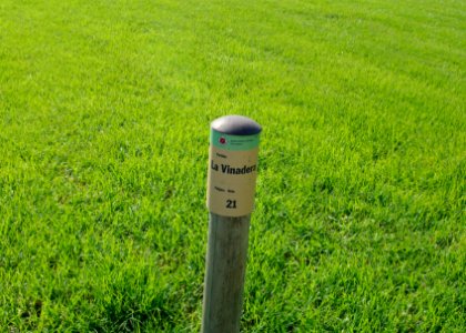 Partida de la Vinadera