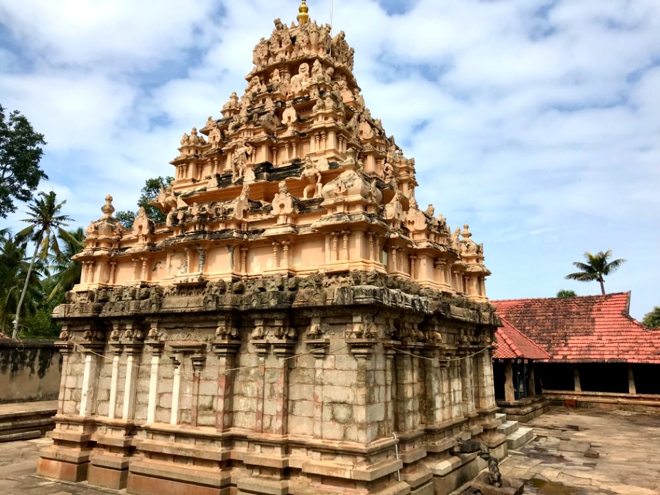 Parthasarathy Temple, Parthivapuram. Kanyakumari, Tamil Nadu - 2